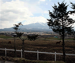 富士山