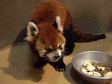 上野動物園