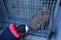 アドベンチャーワールド動物園