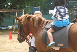 ふれあい乗馬