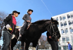 ふれあい乗馬