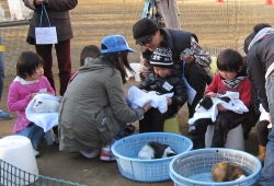ふれあい乗馬