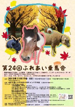 ふれあい乗馬