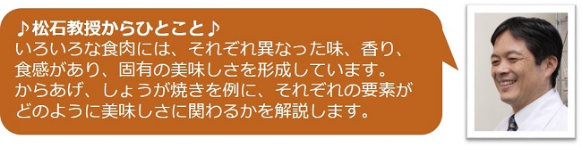 松石教授からひとこと