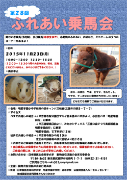 ふれあい乗馬