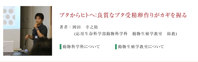 ブタからヒトへ良質なブタ受精卵作りがカギを握る