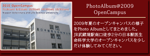 PhotoAlbum2009