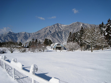 雪景色