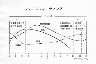 フェーズフィーディング