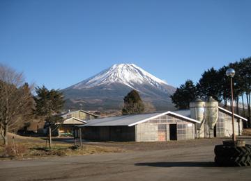 新しい革袋に