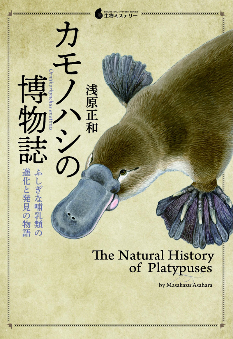 この一冊 図書の紹介 06号 カモノハシの博物誌 ふしぎな哺乳類の進化と発見の物語 図書館 日本獣医生命科学大学