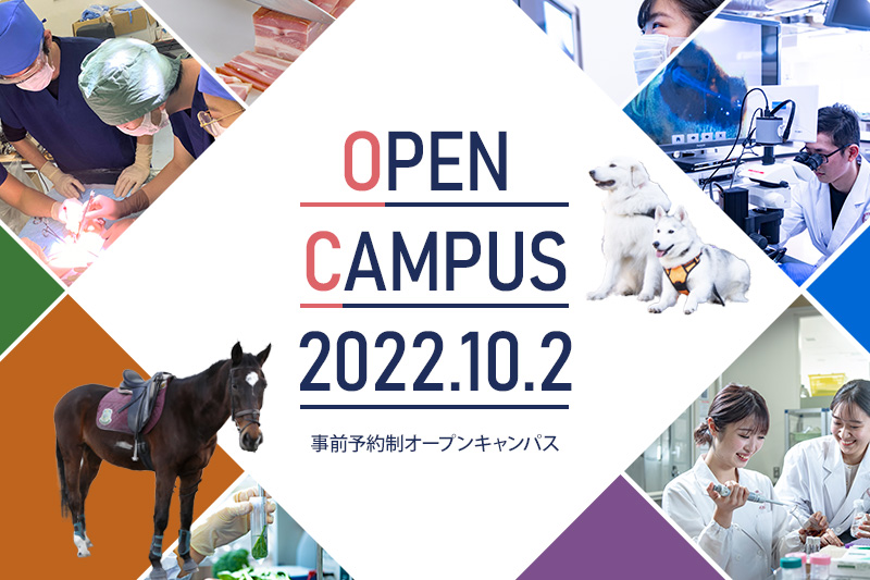 10月2日（日）オープンキャンパスを開催します！