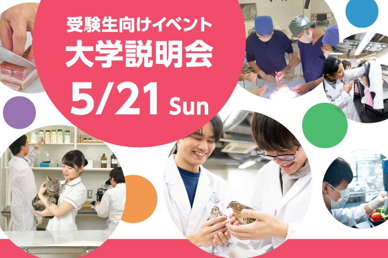 事前予約制 受験生向けイベント オンライン大学説明会 5/23(日)10:00〜