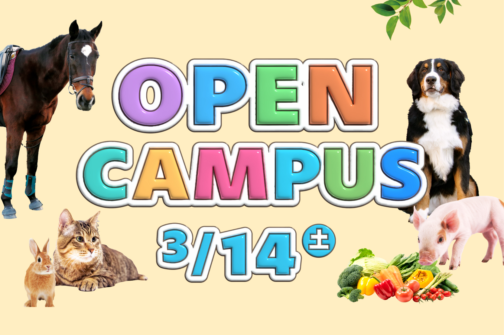 オープンキャンパス告知の画像2026.03.14に実施予定