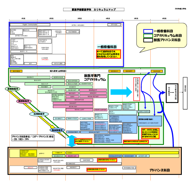 カリキュラムマップ