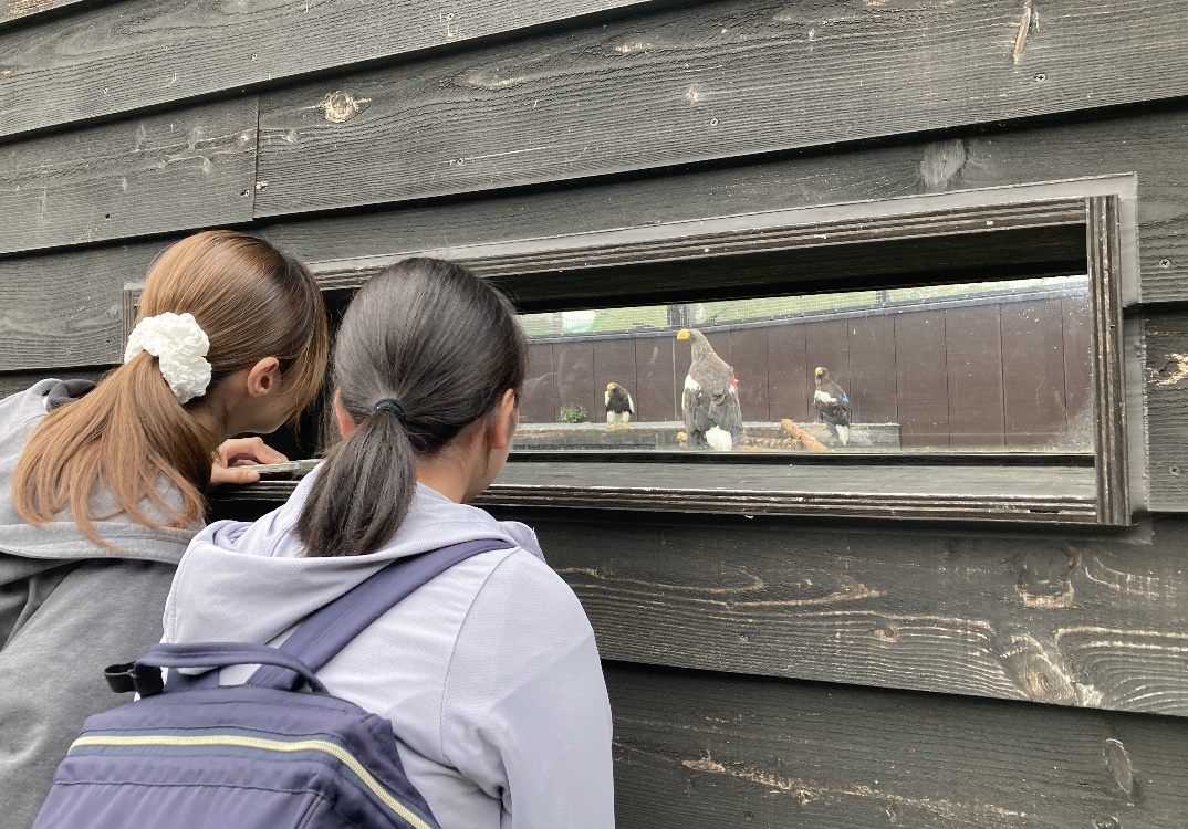 野生復帰のためのリハビリケージの見学