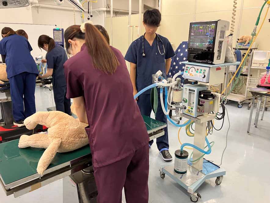 心肺蘇生の手順を学ぶ実習