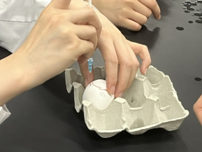 鶏卵へのウイルス接種の様子