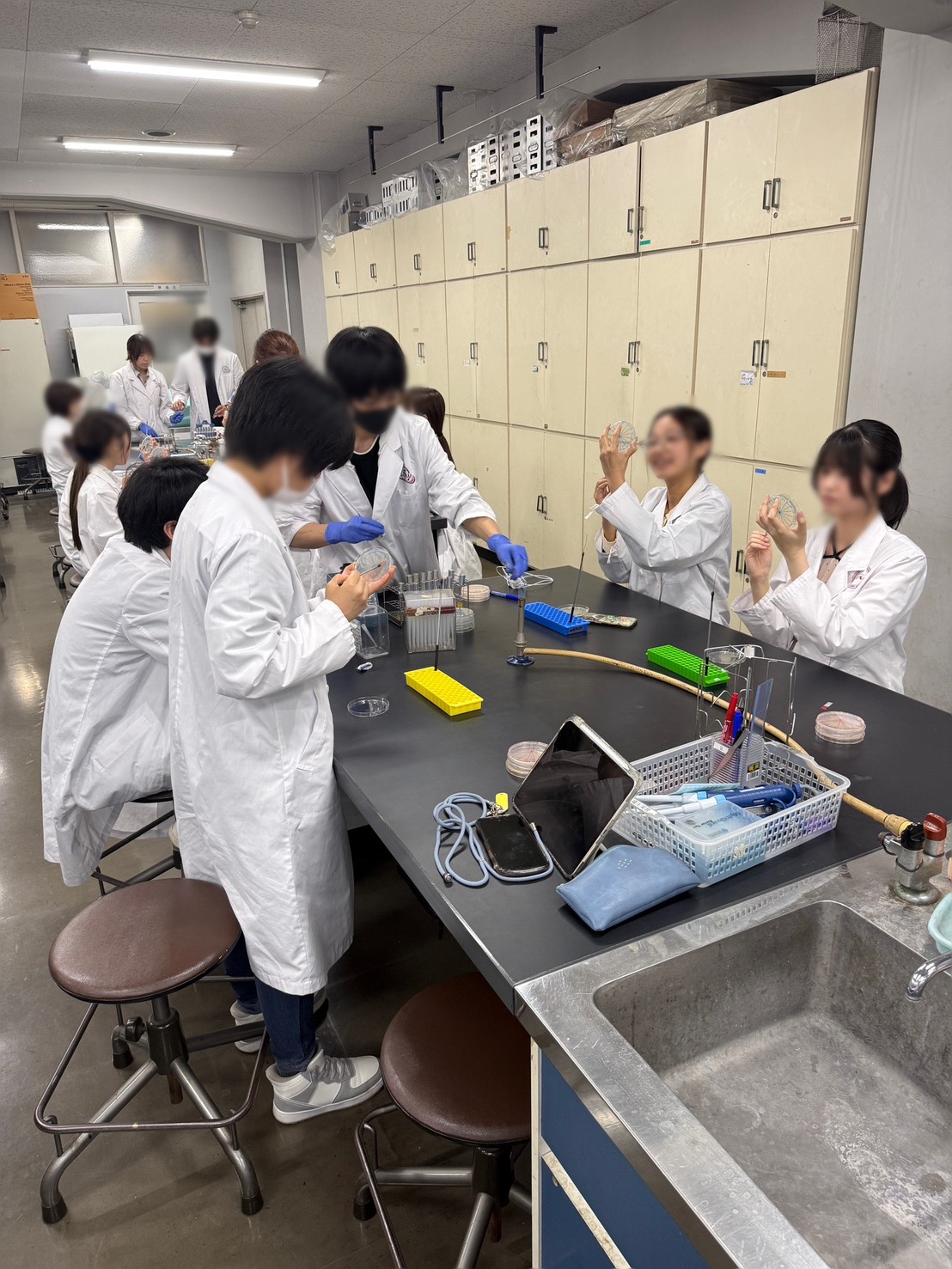 動物衛生学実習Ⅱ | 獣医学科 | 日本獣医生命科学大学