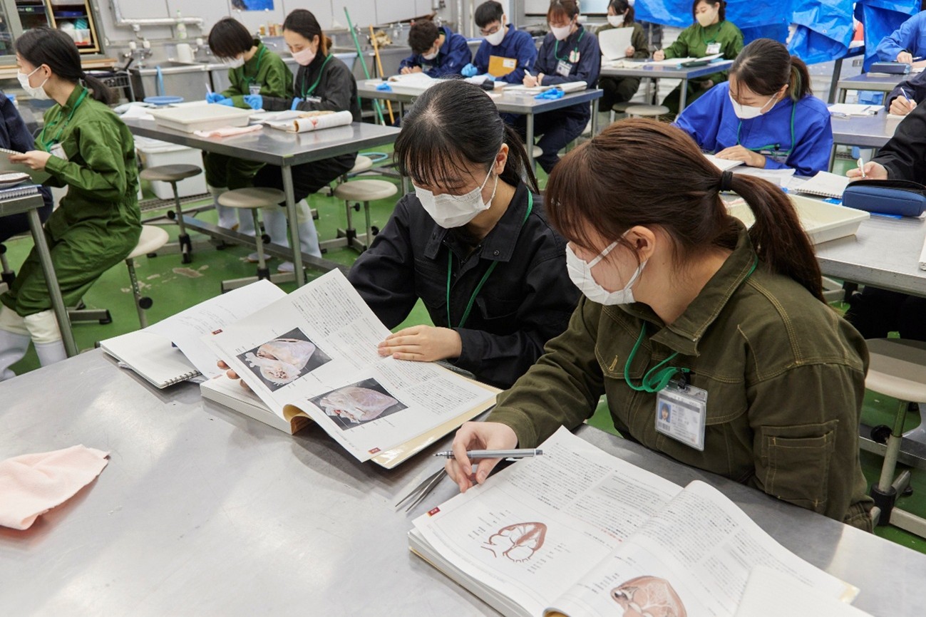 各器官の構造や機能について学習中