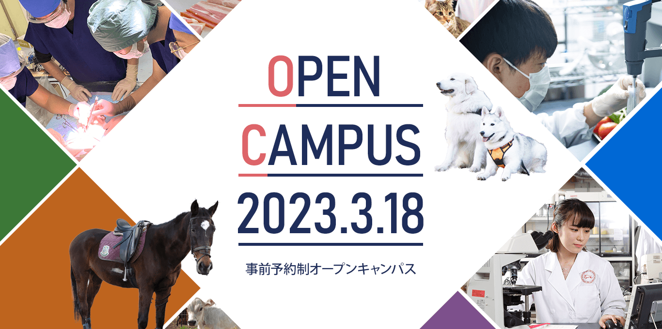 3月18日（土）オープンキャンパスを開催します！　～2月20日（月）午前7時30分から申し込み受付開始～