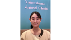 「N-Report」卒業生は今を更新しました<br>奄美大島でペット・特別天然記念物等の野生動物診療に携わる