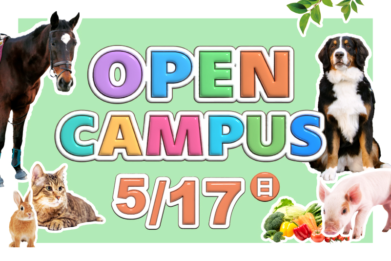 5.17(日)オープンキャンパス詳細を公開しました～4月15日(水)より申し込み開始～