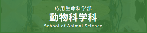 動物科学科