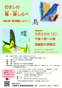 むさしの鳥・蝶しらべPDF