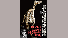 ニュースicon