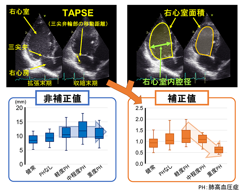 どのような症状がありますか?