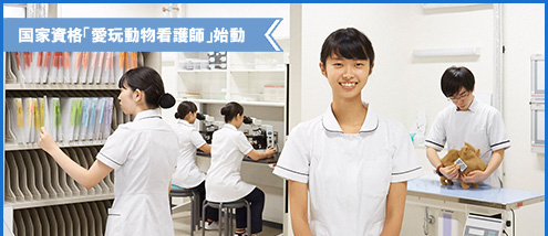 獣医保健看護学科