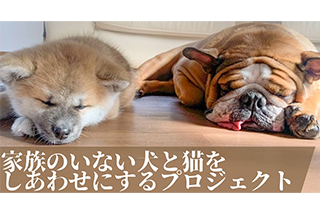 ニュースicon