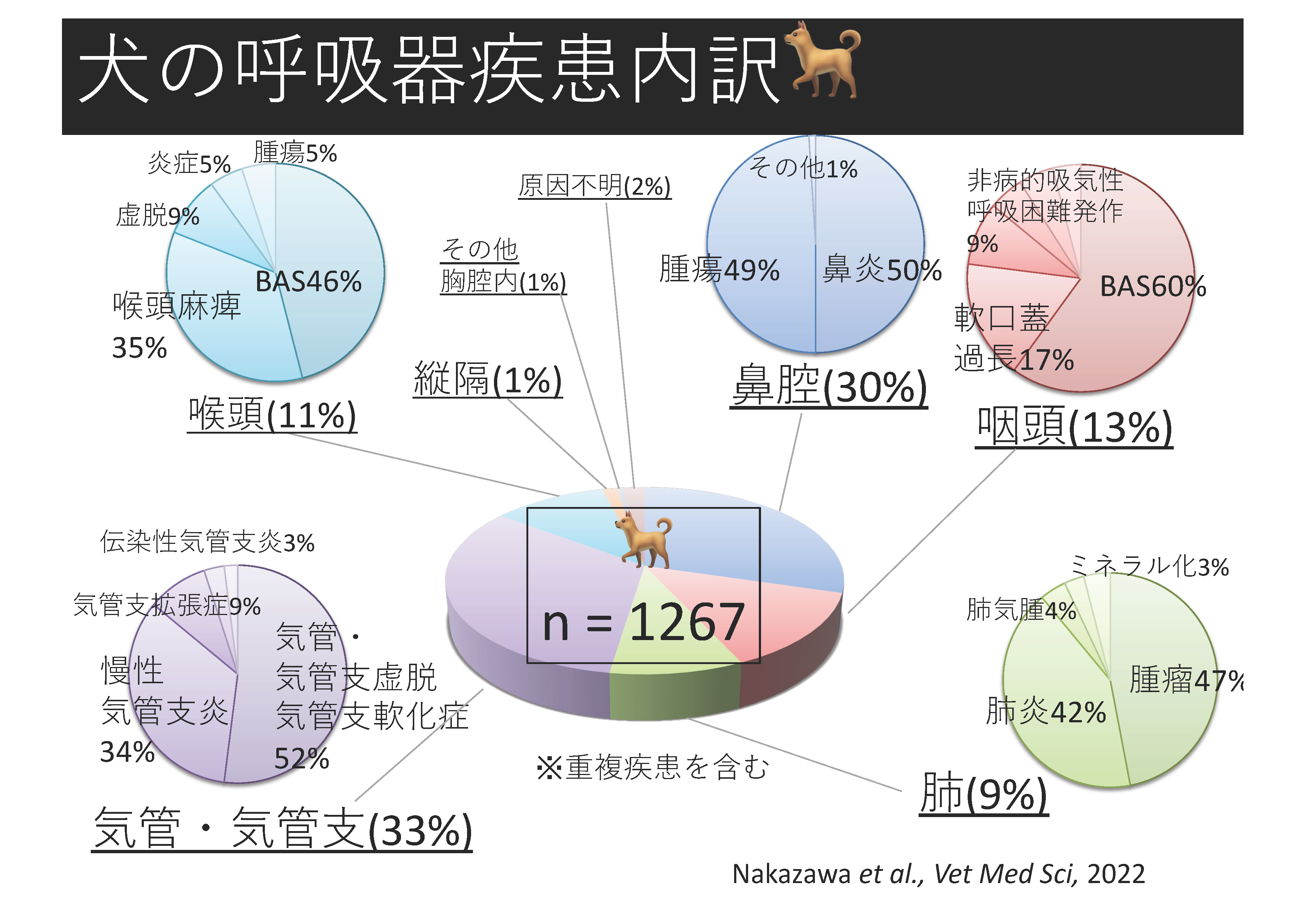 日本国内の犬の呼吸器疾患における大規模疫学調査：人気品種との関連