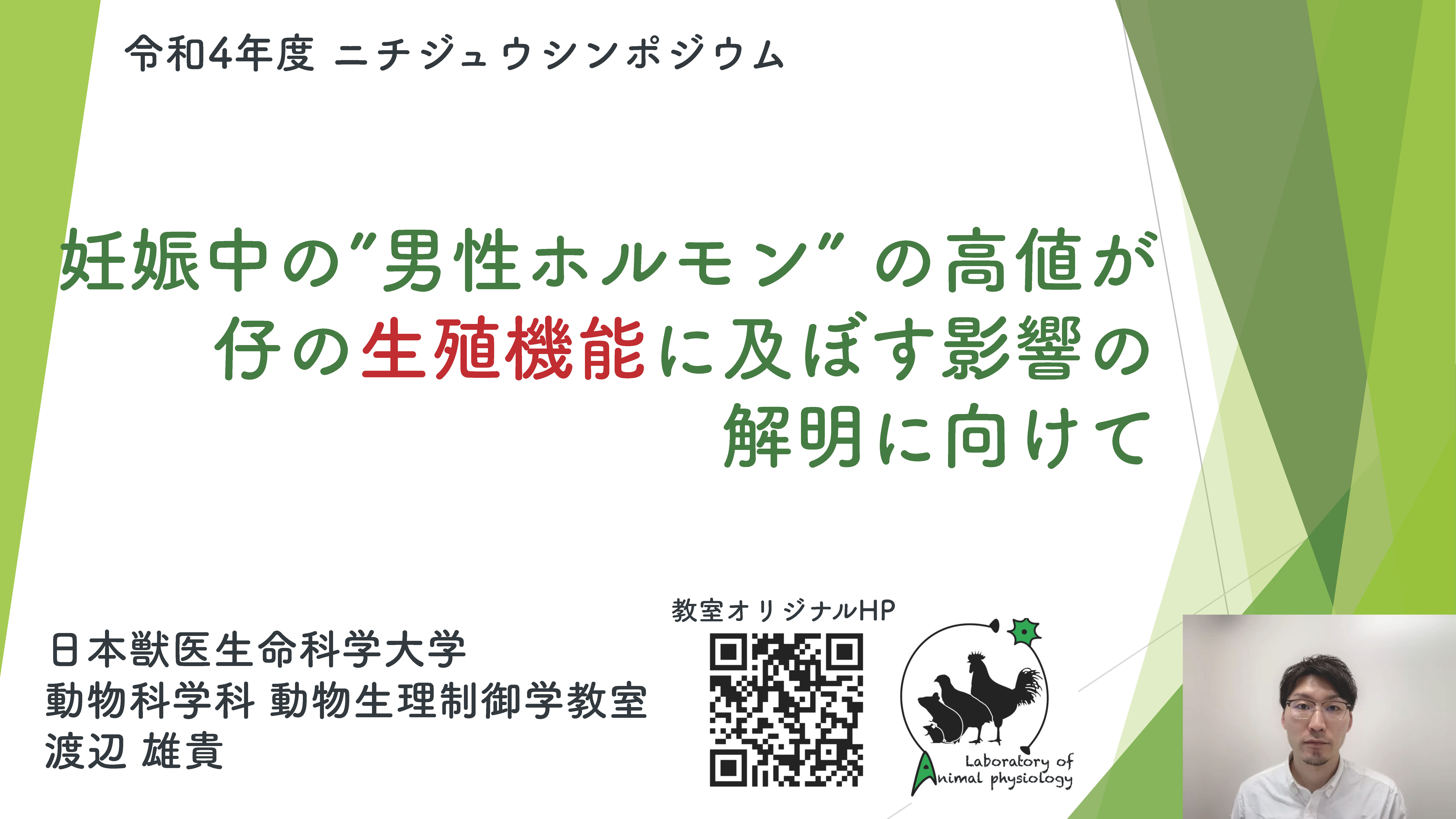 妊娠中の”男性ホルモン”の高値が仔の生殖機能に及ぼす影響の解明に向けて