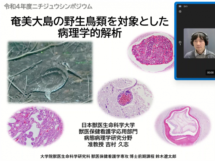 奄美大島の野生鳥類を対象とした病理学的解析