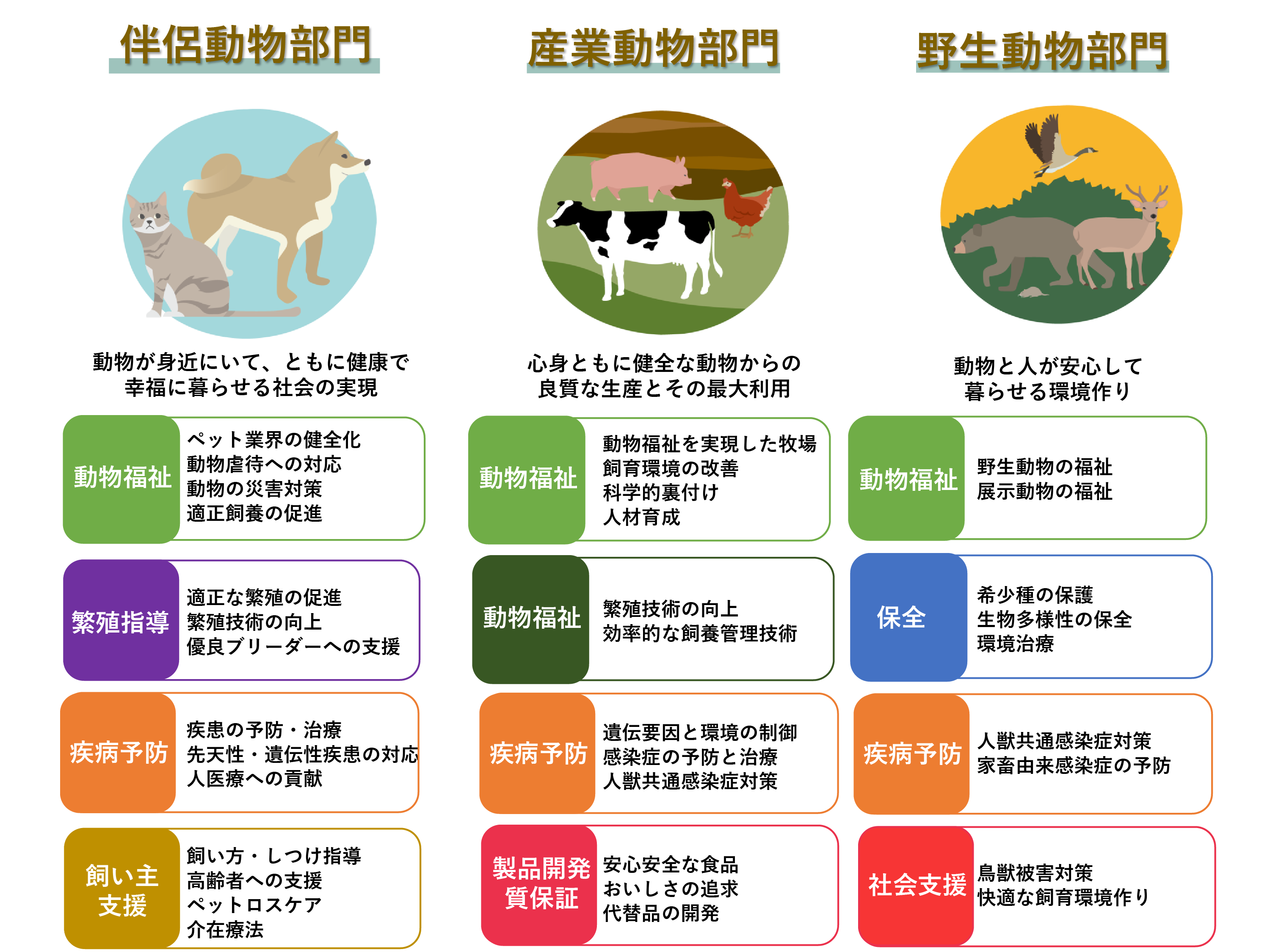 組織図