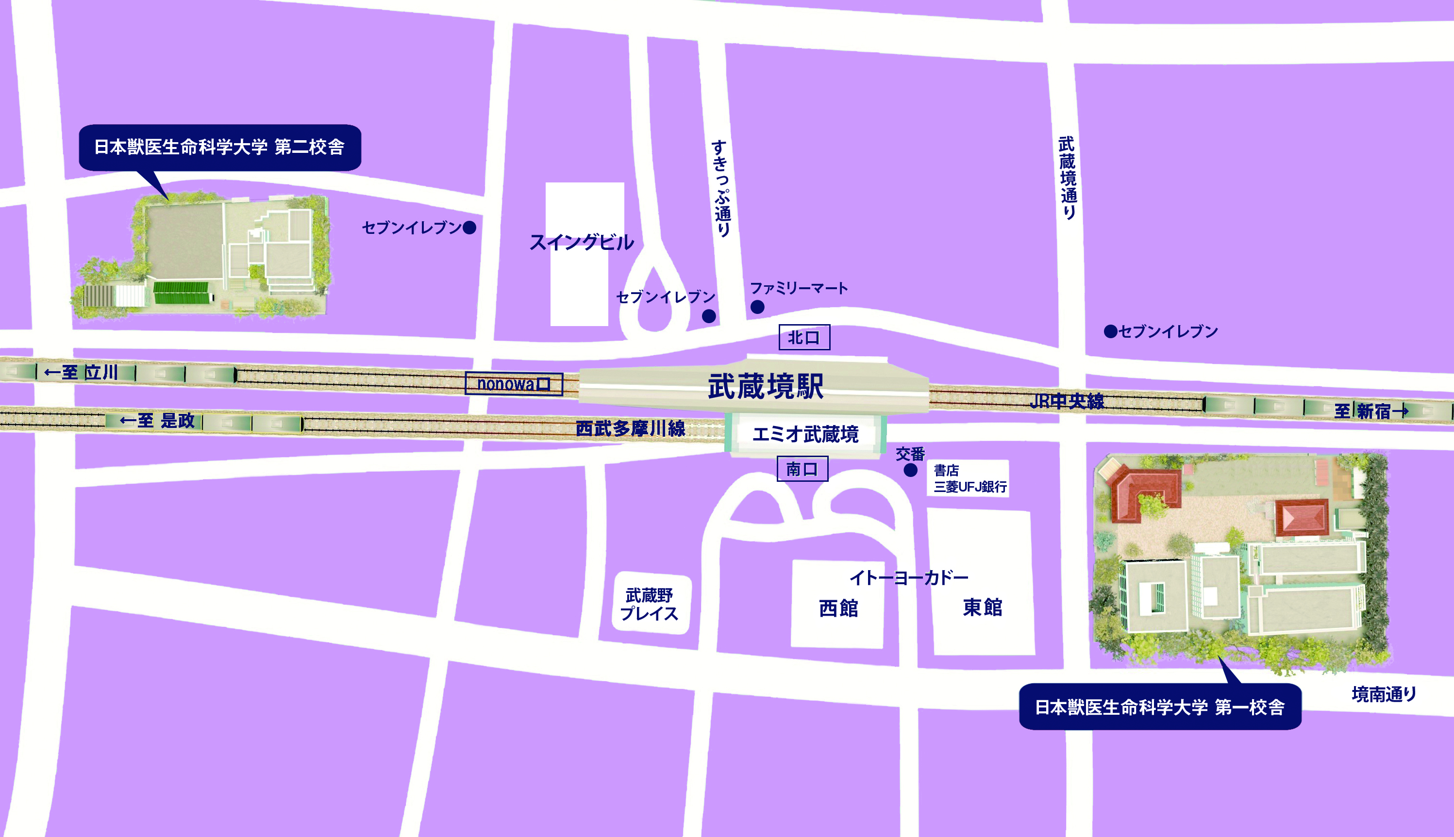 配置図
