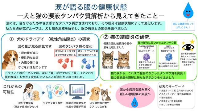 犬の行動特性に関連する遺伝子を発見！