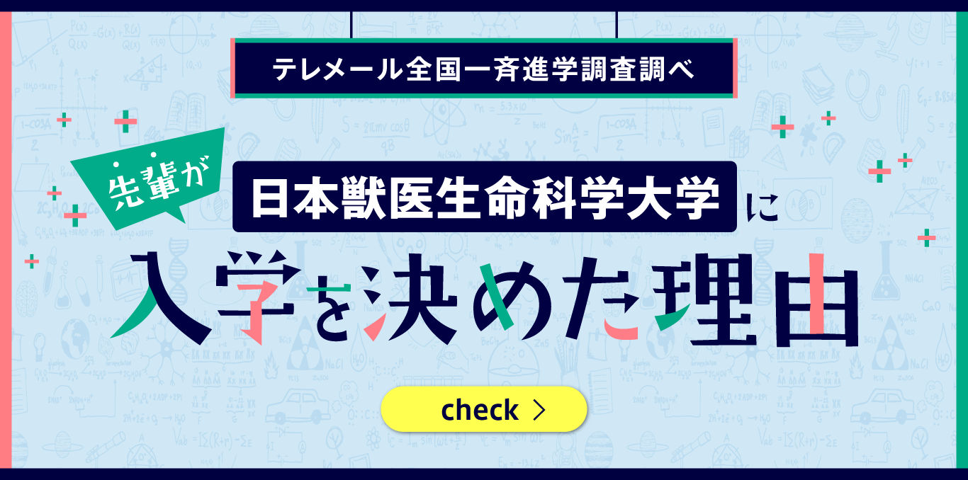 入学を決めた理由