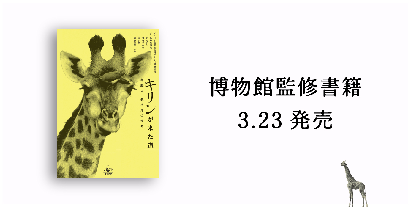 博物館慣習書籍