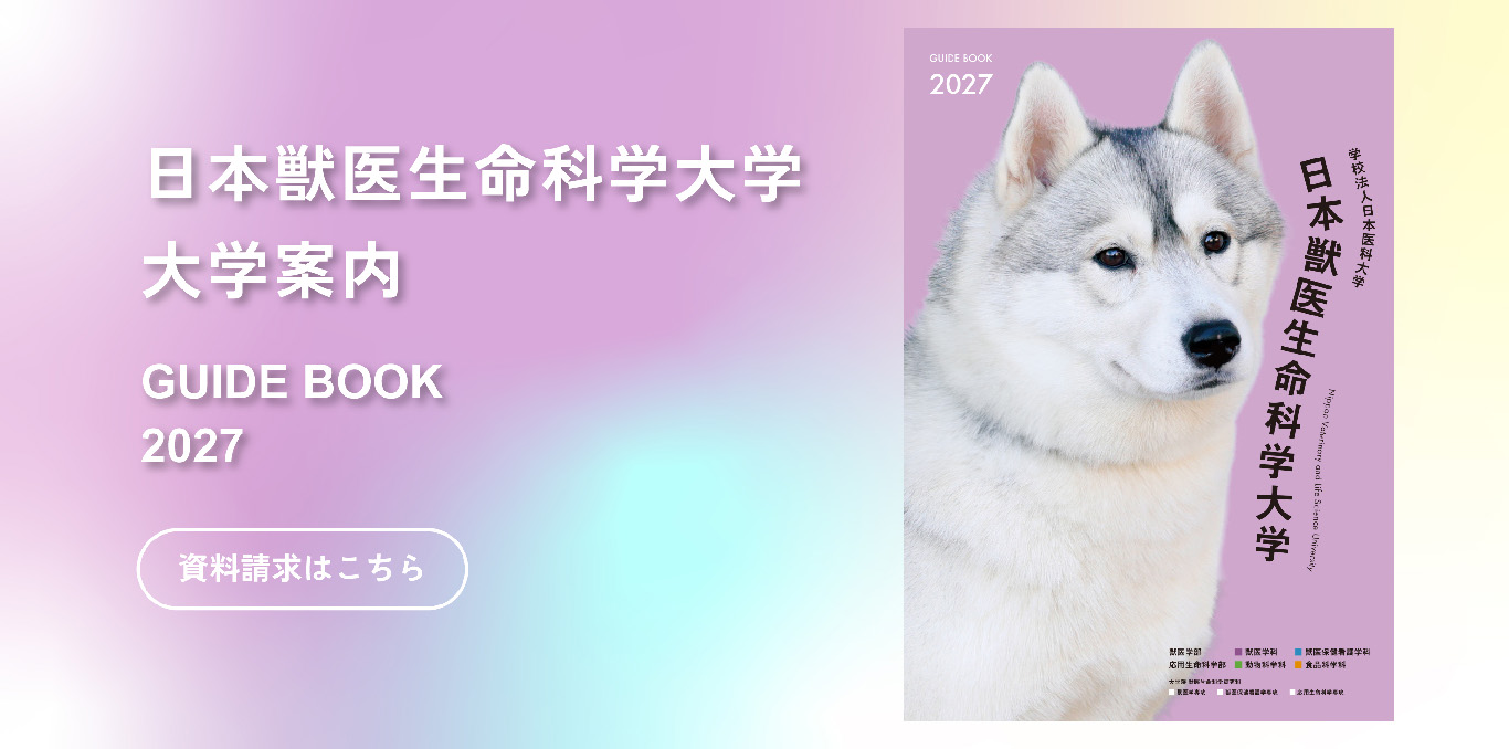 大学案内