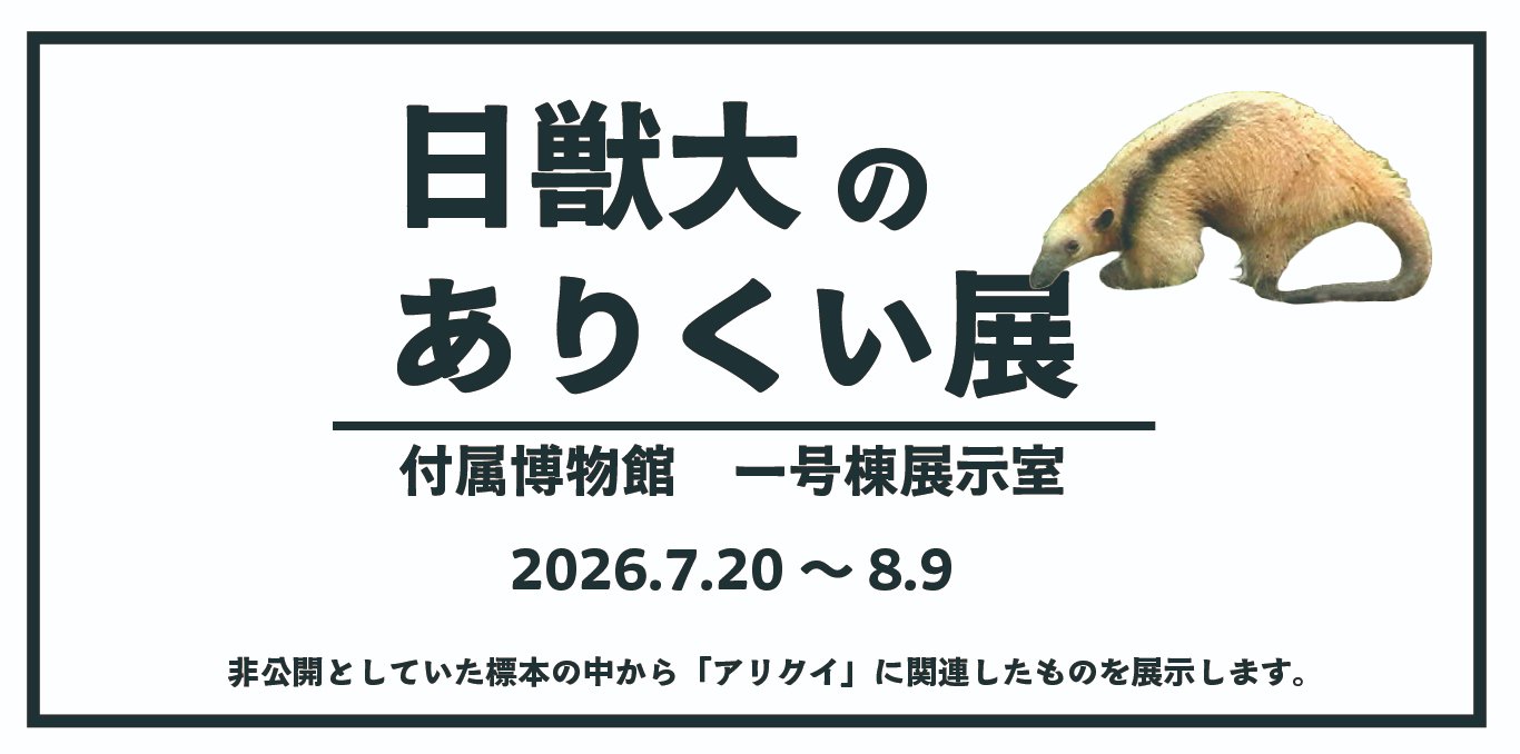 日獣大のありくい展